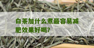 白茶加什么煮最容易减肥效果好喝？