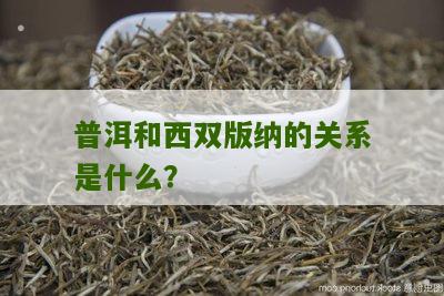 普洱和西双版纳的关系是什么？