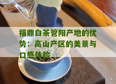 福鼎白茶管阳产地的优势：高山产区的美景与口感体验