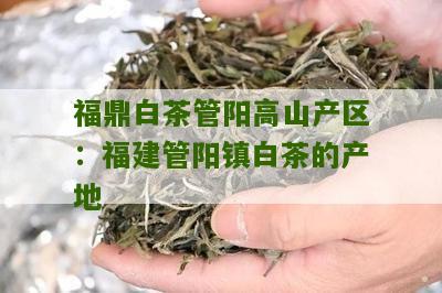 福鼎白茶管阳高山产区：福建管阳镇白茶的产地