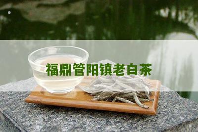 福鼎管阳镇老白茶