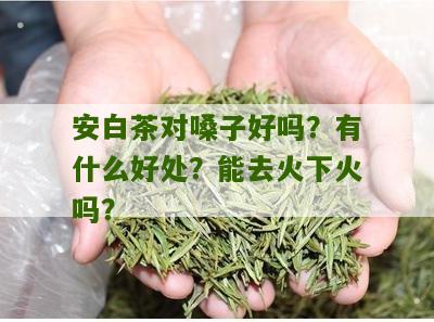 安白茶对嗓子好吗？有什么好处？能去火下火吗？