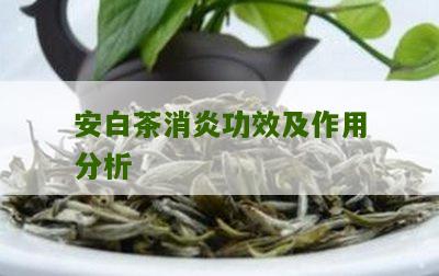 安白茶消炎功效及作用分析