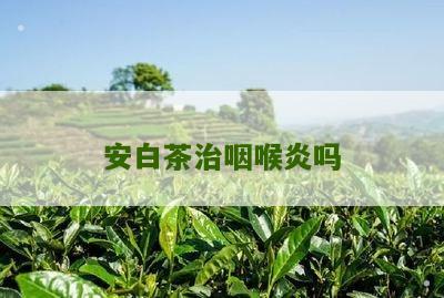 安白茶治咽喉炎吗