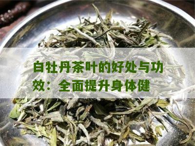 白牡丹茶叶的好处与功效：全面提升身体健