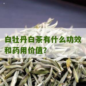 白牡丹白茶有什么功效和药用价值？