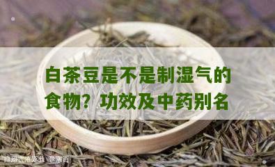 白茶豆是不是制湿气的食物？功效及中药别名