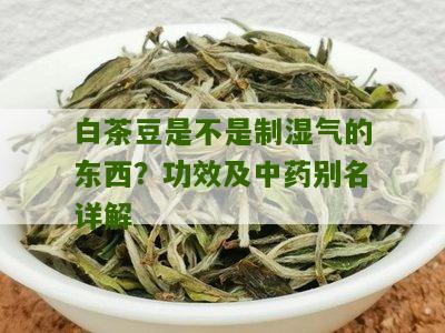 白茶豆是不是制湿气的东西？功效及中药别名详解