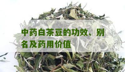 中药白茶豆的功效、别名及药用价值