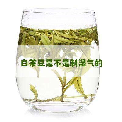 白茶豆是不是制湿气的