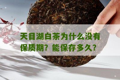 天目湖白茶为什么没有保质期？能保存多久？