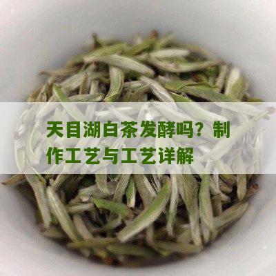 天目湖白茶发酵吗？制作工艺与工艺详解