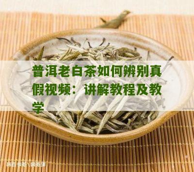 普洱老白茶如何辨别真假视频：讲解教程及教学