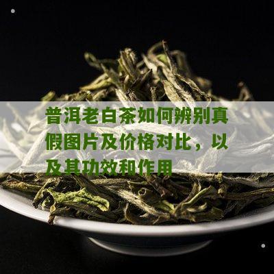 普洱老白茶如何辨别真假图片及价格对比，以及其功效和作用