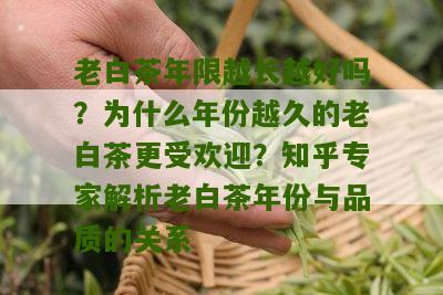 老白茶年限越长越好吗？为什么年份越久的老白茶更受欢迎？知乎专家解析老白茶年份与品质的关系