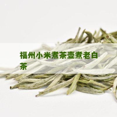 福州小米煮茶壶煮老白茶