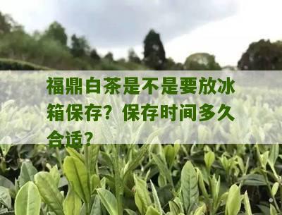 福鼎白茶是不是要放冰箱保存？保存时间多久合适？