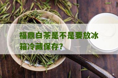 福鼎白茶是不是要放冰箱冷藏保存？