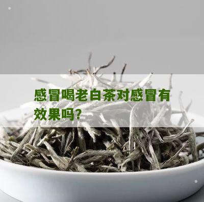 感冒喝老白茶对感冒有效果吗？