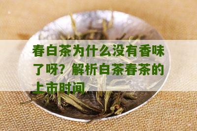 春白茶为什么没有香味了呀？解析白茶春茶的上市时间