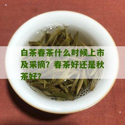 白茶春茶什么时候上市及采摘？春茶好还是秋茶好？