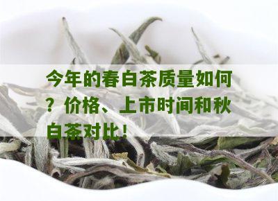 今年的春白茶质量如何？价格、上市时间和秋白茶对比！