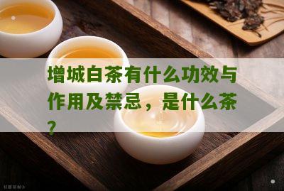 增城白茶有什么功效与作用及禁忌，是什么茶？