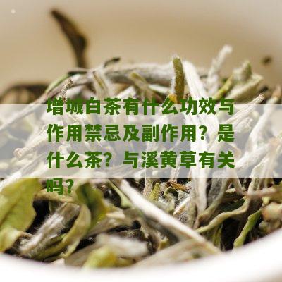 增城白茶有什么功效与作用禁忌及副作用？是什么茶？与溪黄草有关吗？