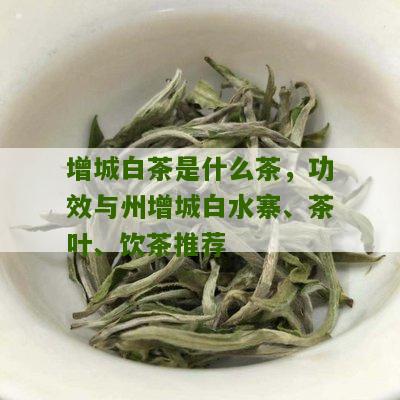 增城白茶是什么茶，功效与州增城白水寨、茶叶、饮茶推荐