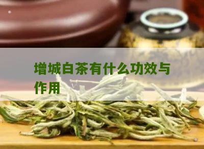 增城白茶有什么功效与作用