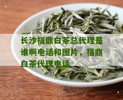 长沙福鼎白茶总代理是谁啊电话和图片，福鼎白茶代理电话