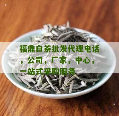 福鼎白茶批发代理电话，公司，厂家，中心，一站式采购服务