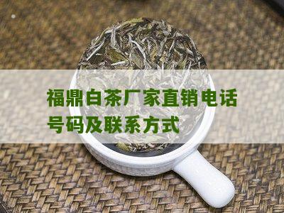 福鼎白茶厂家直销电话号码及联系方式