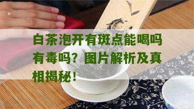 白茶泡开有斑点能喝吗有毒吗？图片解析及真相揭秘！