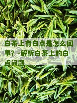 白茶上有白点是怎么回事？-解析白茶上的白点问题