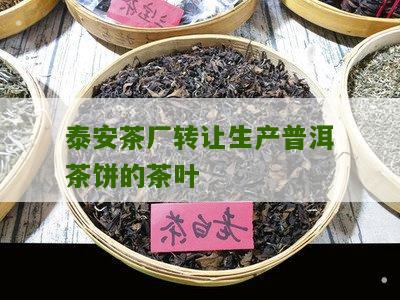 泰安茶厂转让生产普洱茶饼的茶叶