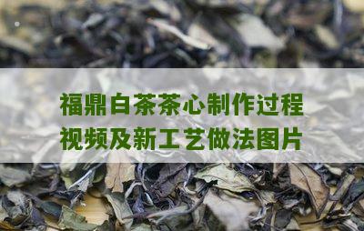 福鼎白茶茶心制作过程视频及新工艺做法图片