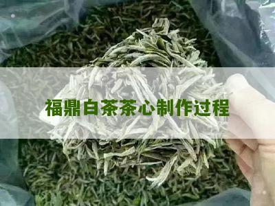 福鼎白茶茶心制作过程