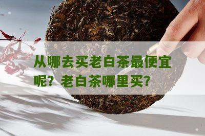 从哪去买老白茶最便宜呢？老白茶哪里买？