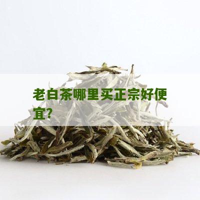 老白茶哪里买正宗好便宜？