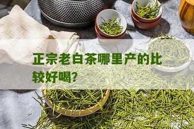 正宗老白茶哪里产的比较好喝？