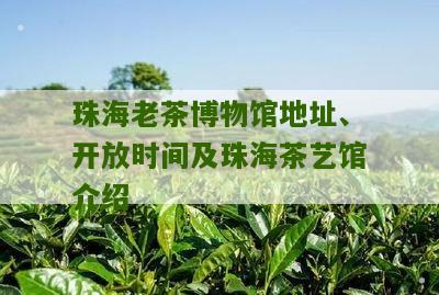 珠海老茶博物馆地址、开放时间及珠海茶艺馆介绍