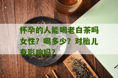 怀孕的人能喝老白茶吗女性？喝多少？对胎儿有影响吗？