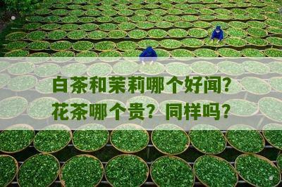 白茶和茉莉哪个好闻？花茶哪个贵？同样吗？