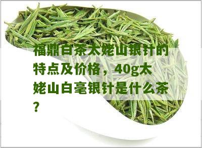 福鼎白茶太姥山银针的特点及价格，40g太姥山白毫银针是什么茶？