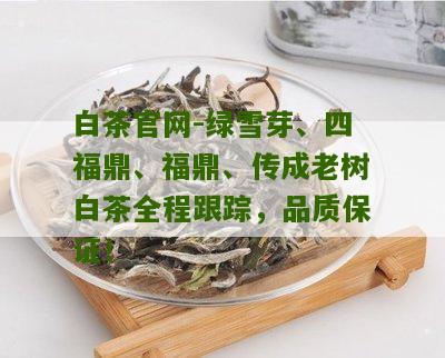 白茶官网-绿雪芽、四福鼎、福鼎、传成老树白茶全程跟踪，品质保证！