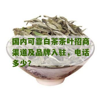 国内可靠白茶茶叶招商渠道及品牌入驻，电话多少？