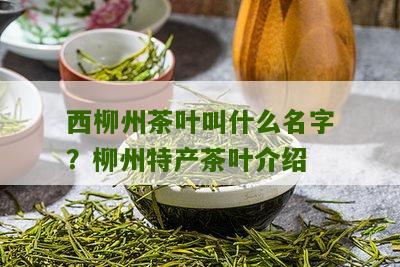 西柳州茶叶叫什么名字？柳州特产茶叶介绍