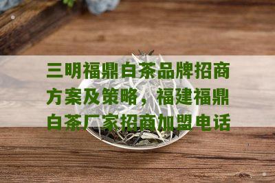 三明福鼎白茶品牌招商方案及策略，福建福鼎白茶厂家招商加盟电话