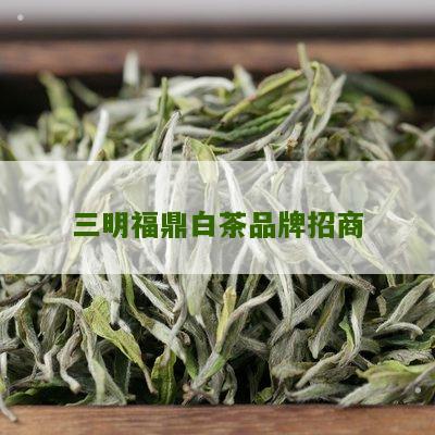 三明福鼎白茶品牌招商